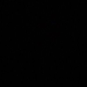 Meet your Posher, Gracelyn